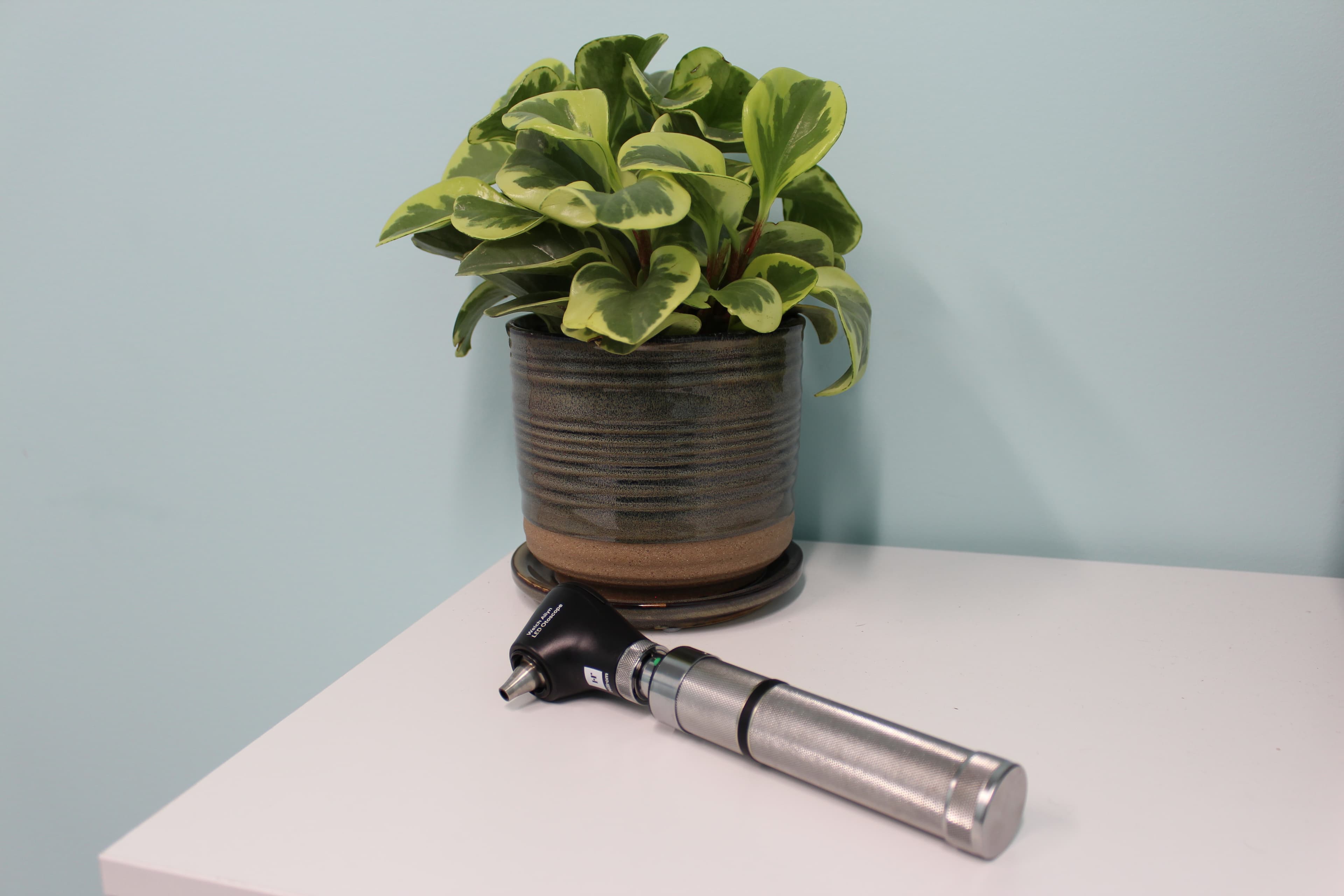 Hearing aid fitting at Sounds of Life Hearing Center